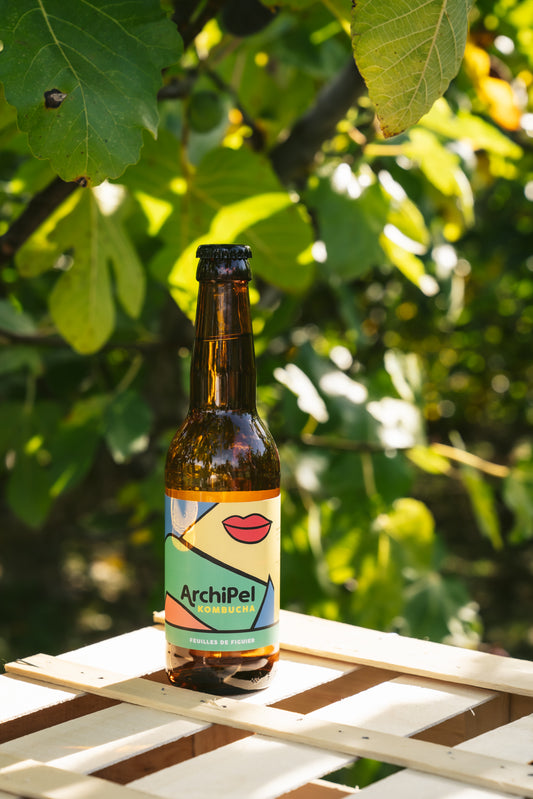 Kombucha Figuier Bio -33cl (x12)