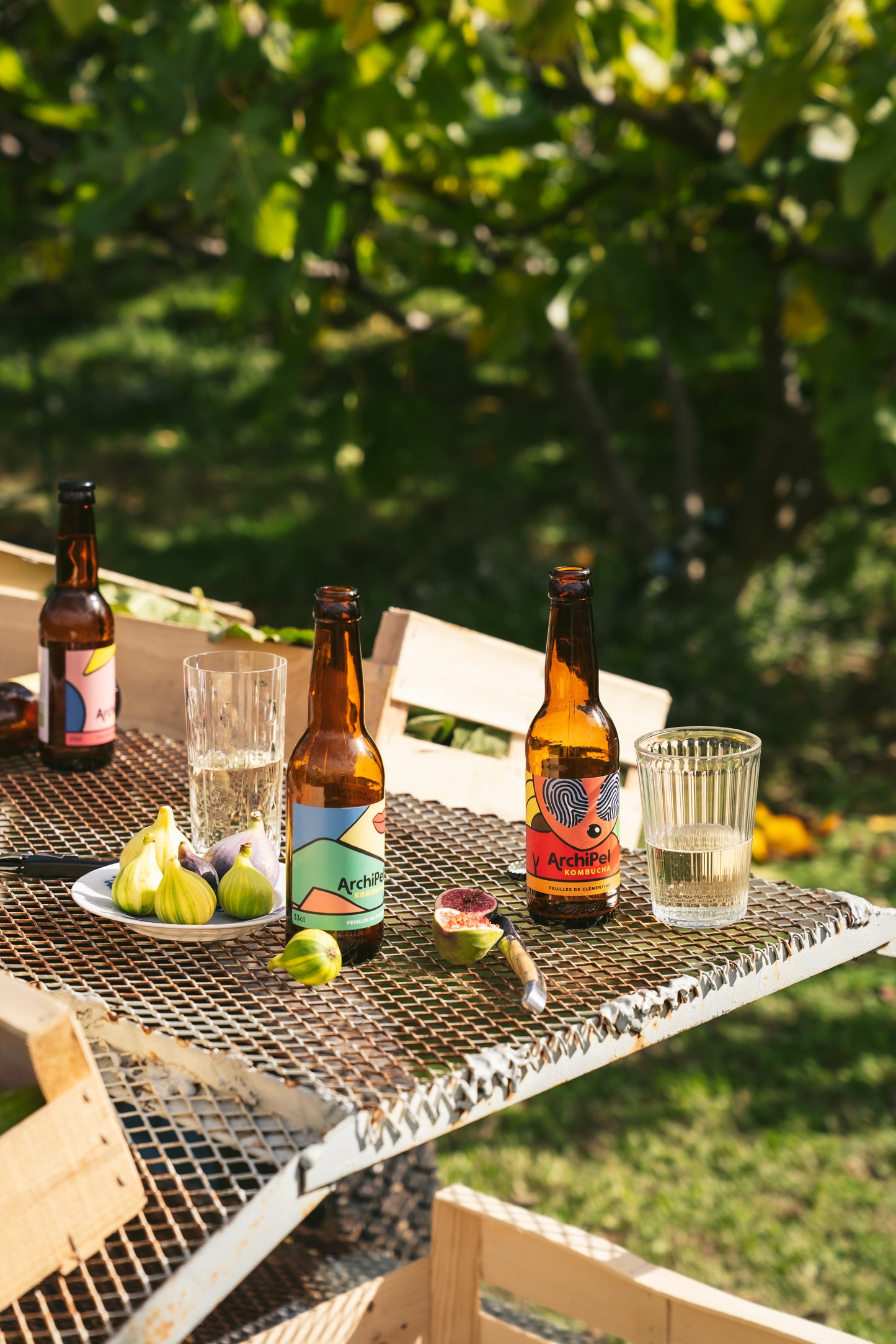 Mix Kombucha dégustation Bio - 33cl (x12)